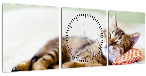 Tablou - Pisicuța adormită (cu ceas) (90x30 cm)