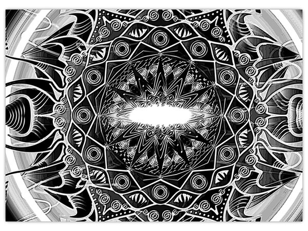 Tablou cu ornamente alb negre (70x50 cm)