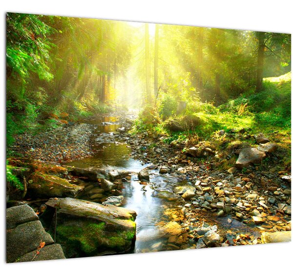 Tablou pe sticlă cu râul în pădurea verde (70x50 cm)