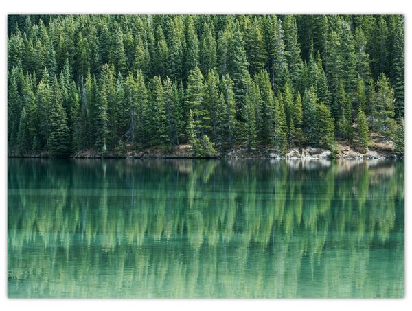 Tablou - Coniferi lângă lac (70x50 cm)