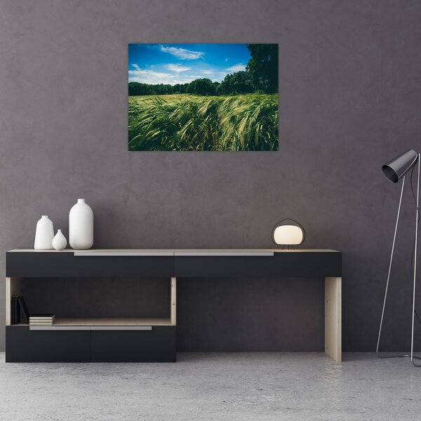 Tablou cu linca și pădure (70x50 cm)