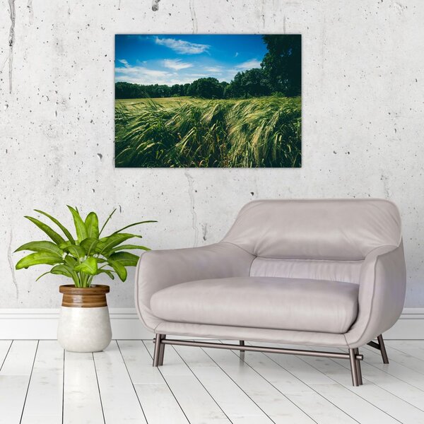 Tablou cu linca și pădure (70x50 cm)