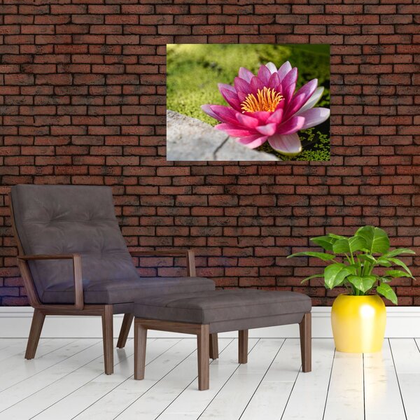 Tablou - Lotus (70x50 cm)