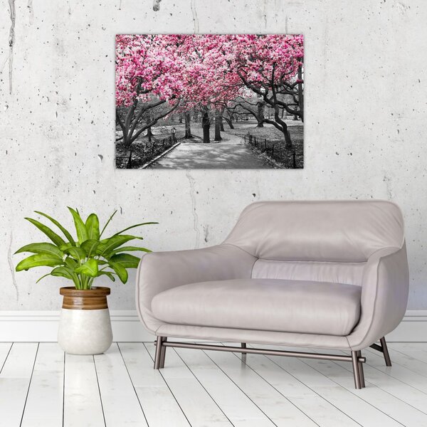 Tablou copacului magnolie (70x50 cm)