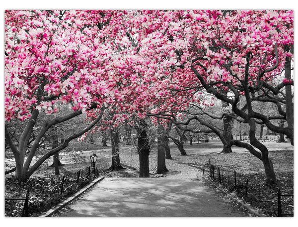 Tablou copacului magnolie (70x50 cm)