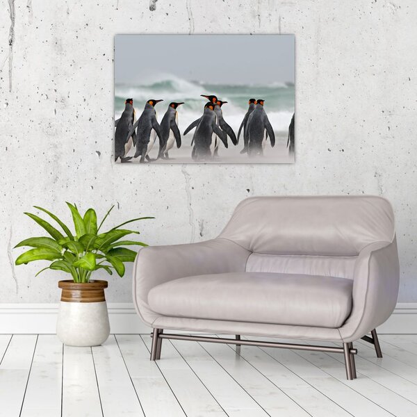 Tablou pinguini în ocean (70x50 cm)