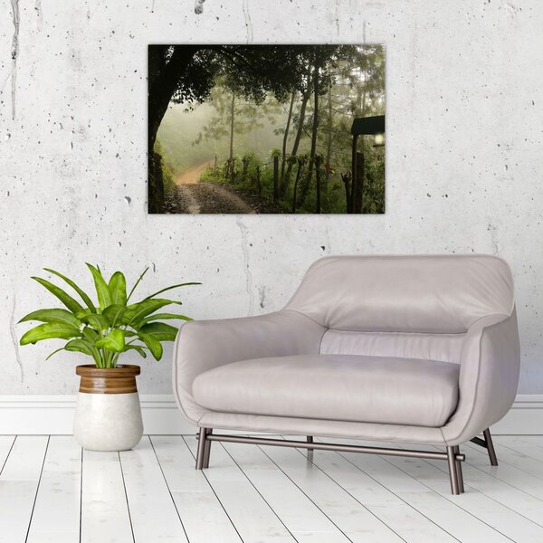 Tablou cu ceața de dimineața (70x50 cm)