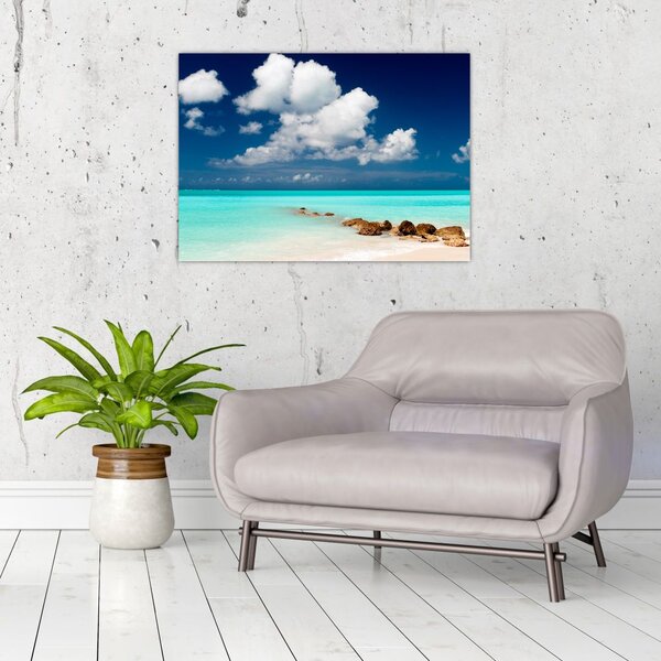 Tablou cu mare (70x50 cm)