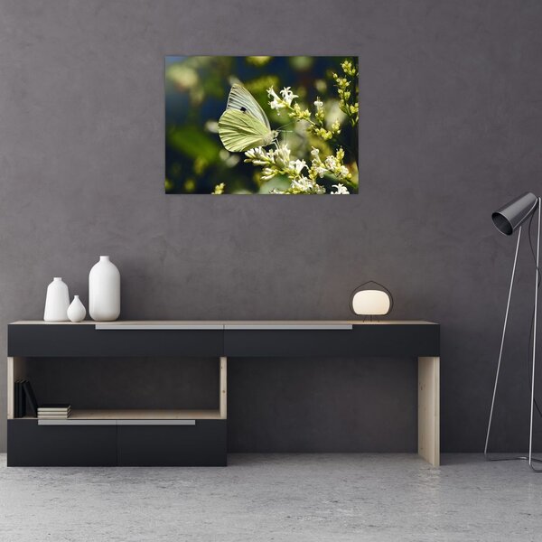 Tablou cu fluture (70x50 cm)