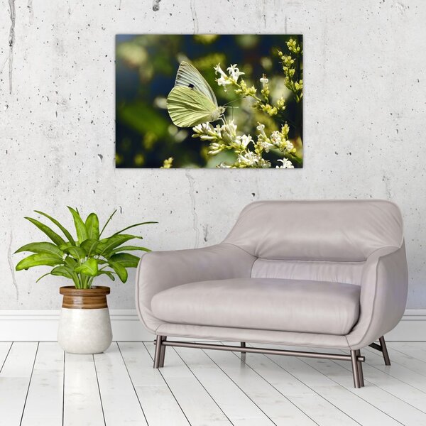Tablou cu fluture (70x50 cm)