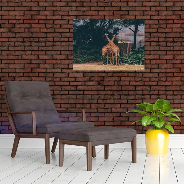 Tablou cu două girafe (70x50 cm)