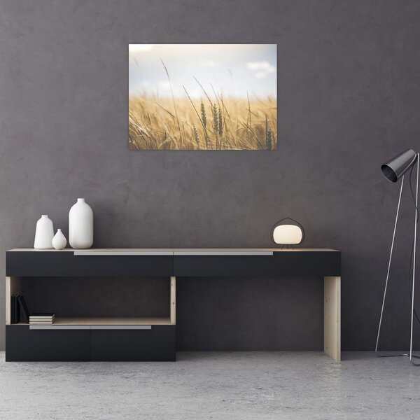 Tablou cu grâne (70x50 cm)