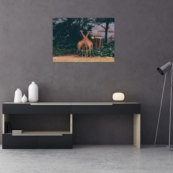 Tablou cu două girafe (70x50 cm)