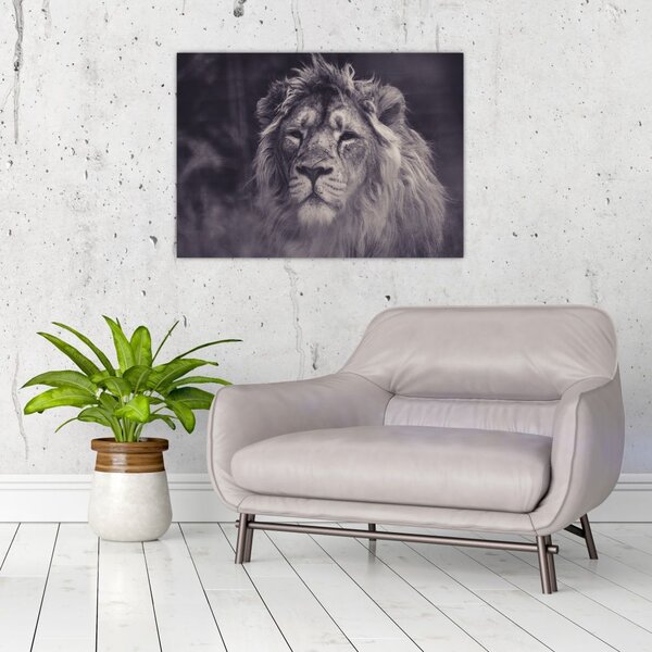 Tablou cu leu (70x50 cm)