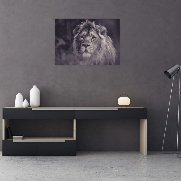 Tablou cu leu (70x50 cm)