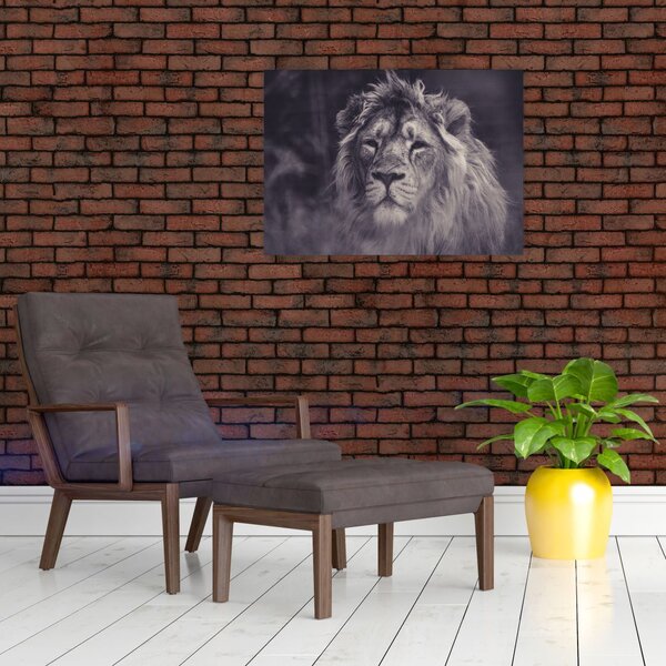 Tablou cu leu (70x50 cm)