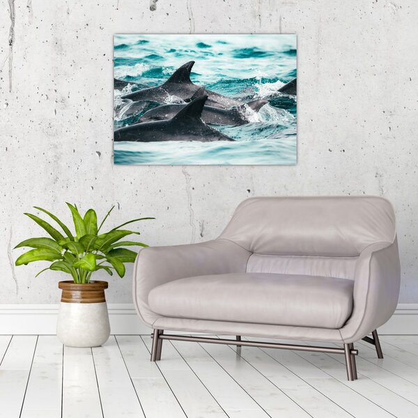 Tablou - Delfini în ocean (70x50 cm)
