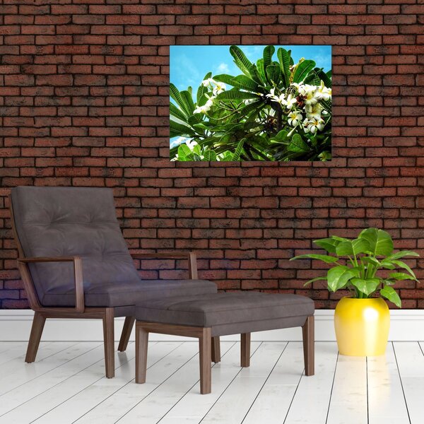 Tablou - Plumeria (70x50 cm)