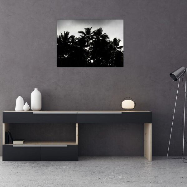 Tablou alb negru - palmieri (70x50 cm)