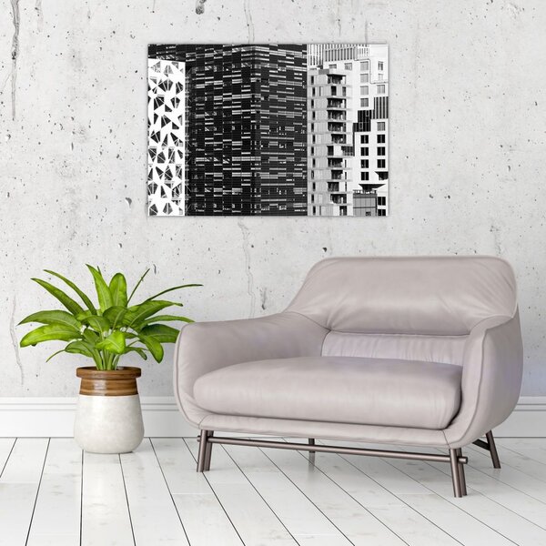 Tablou cu arhitectura alb neagră (70x50 cm)