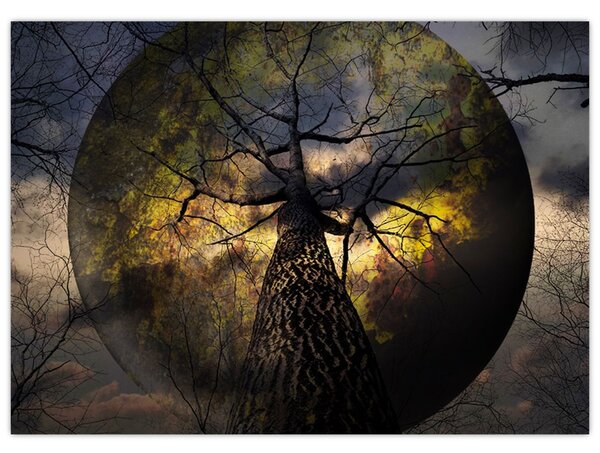 Tablou - Cerul enigmatic (70x50 cm)
