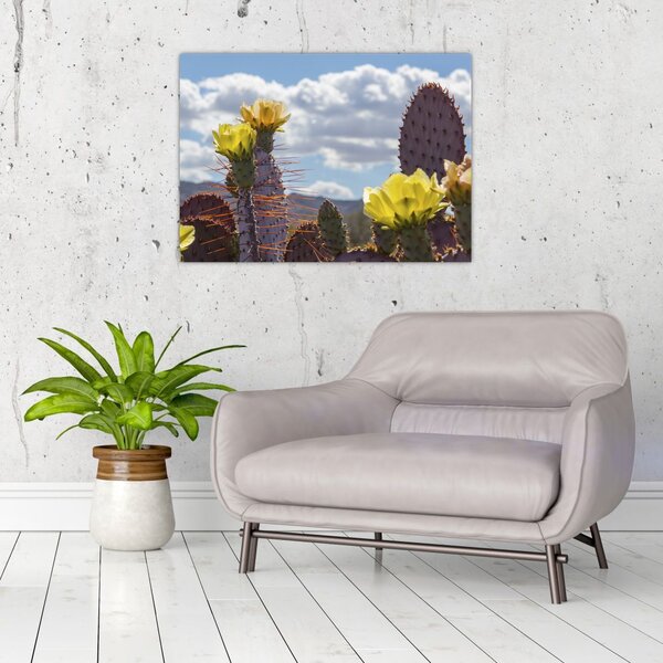 Tablou cu floarea de cactus Opunție (70x50 cm)