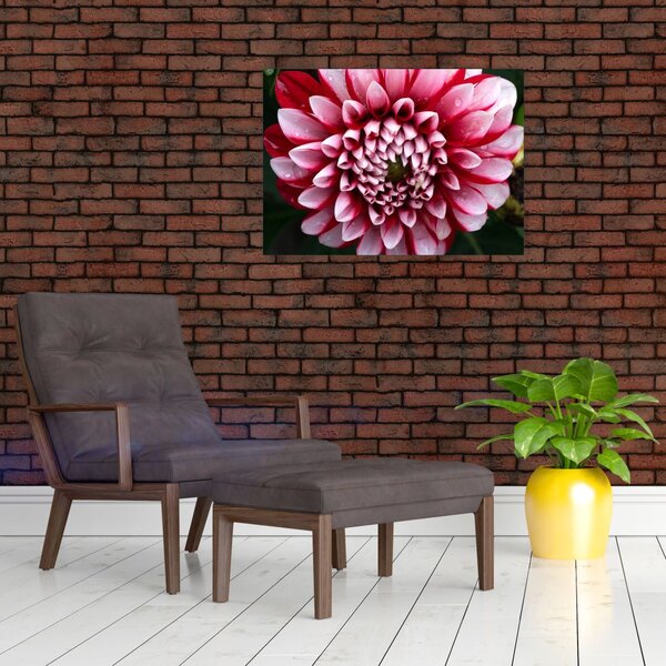 Tablou cu dalie roz (70x50 cm)