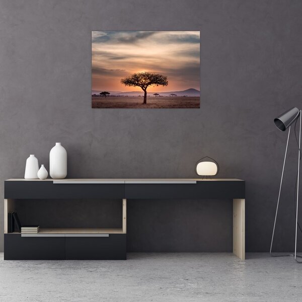 Tablou apusului de soare în Tanzania (70x50 cm)