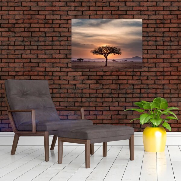 Tablou apusului de soare în Tanzania (70x50 cm)