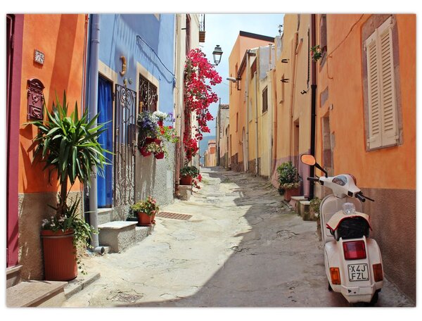 Tablou cu strada din Sardinia (70x50 cm)