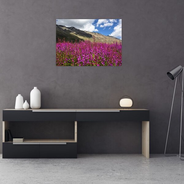 Tablou sceneriei cu lunca montană (70x50 cm)