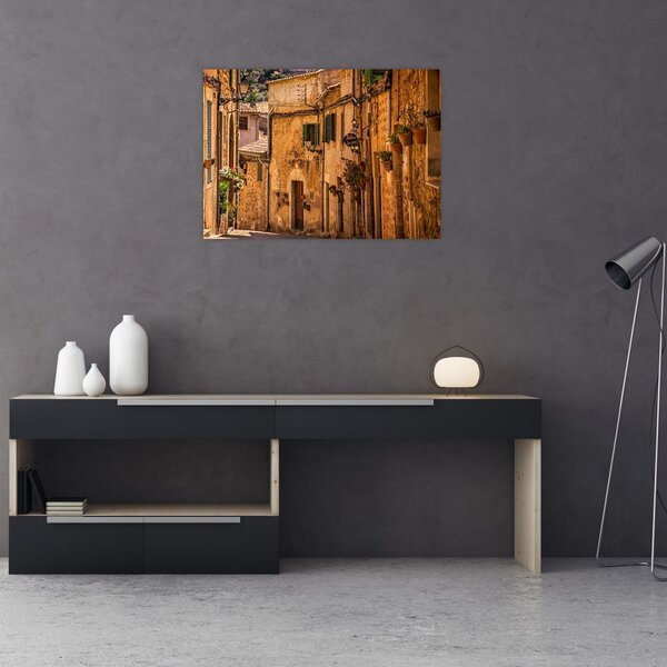 Tablou - Strada din Spania (70x50 cm)