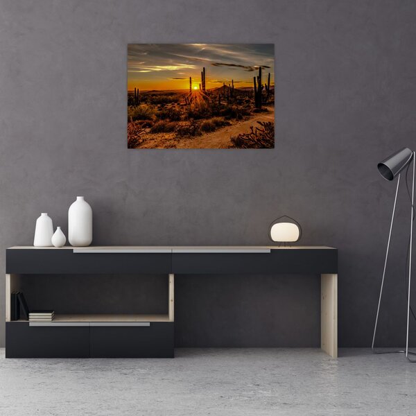 Tablou - Sfărșit de zi în deșertul Arizona (70x50 cm)