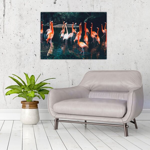 Tablou - turmă de flamingo (70x50 cm)