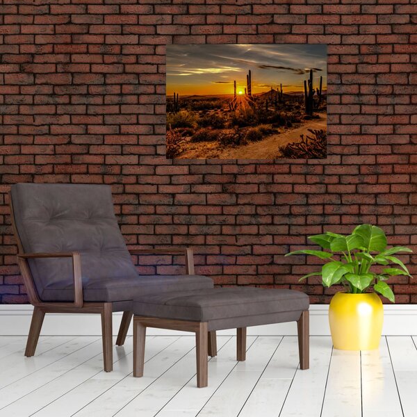 Tablou - Sfărșit de zi în deșertul Arizona (70x50 cm)