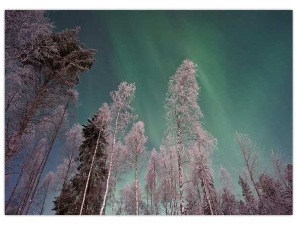 Tablou cu aurora borealis deasupra pomilor înghețați (70x50 cm)