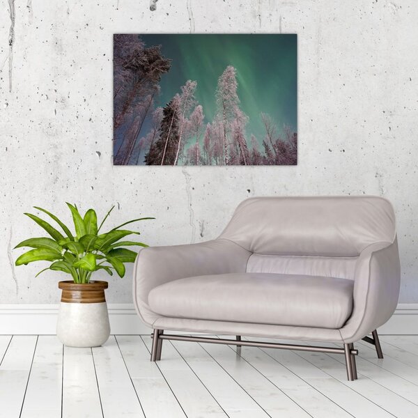 Tablou cu aurora borealis deasupra pomilor înghețați (70x50 cm)
