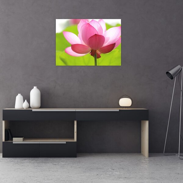 Tablou cu flori de lotus (70x50 cm)