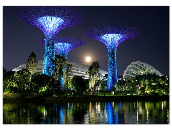 Tablou cu lună plină în grădinile din Singapur (70x50 cm)