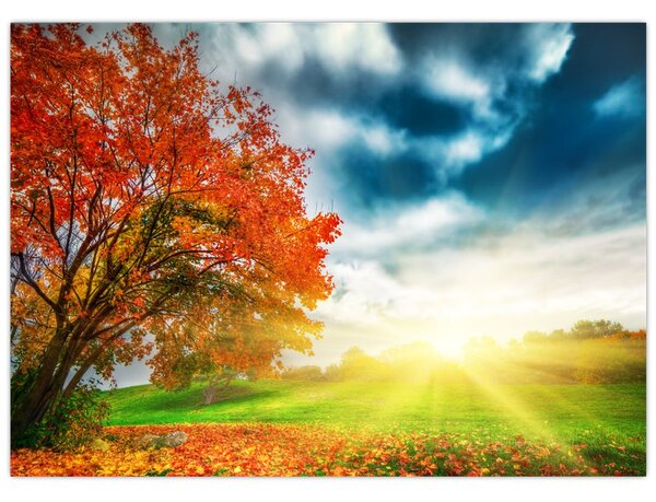 Tablou pe sticlă peisaj cu scufundat în razele solare (70x50 cm)