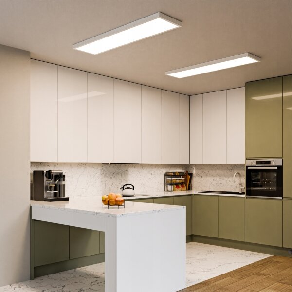 Panou LED aplicat 60 W, 230 V, 30 x 120 cm, alb