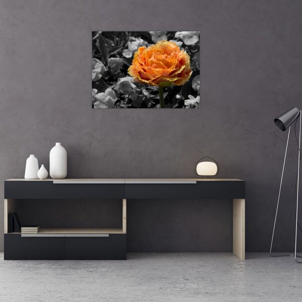 Tablou cu floare (70x50 cm)