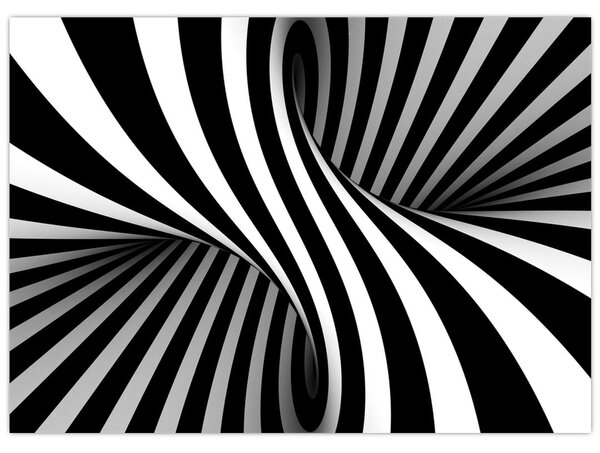 Tablou abstract cu dungi de zebră (70x50 cm)