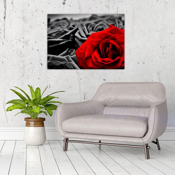 Tablou - Flori de trandafir (70x50 cm)
