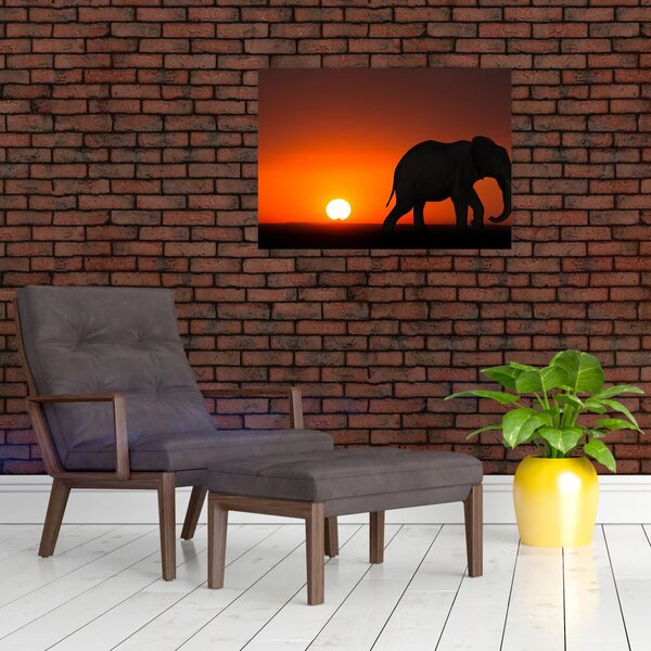 Tablou cu elefant în apus de soare (70x50 cm)