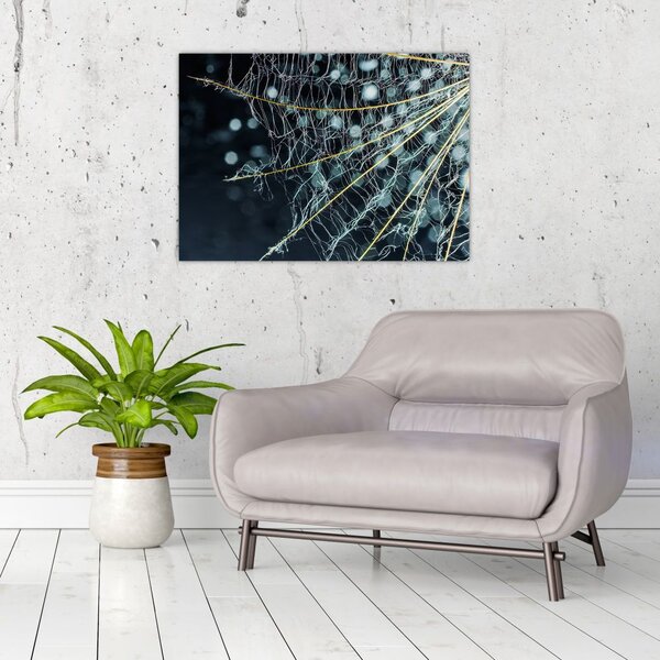 Tablou - Floare cu pânză de pâianjen (70x50 cm)