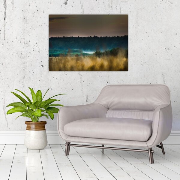 Tablou - Peisaj de munte (70x50 cm)