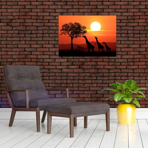 Tablou cu girafe în apus de soare (70x50 cm)