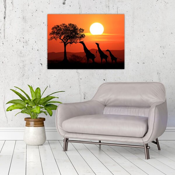 Tablou cu girafe în apus de soare (70x50 cm)