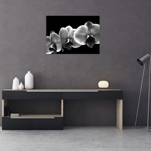 Tablou floare de orhidee (70x50 cm)